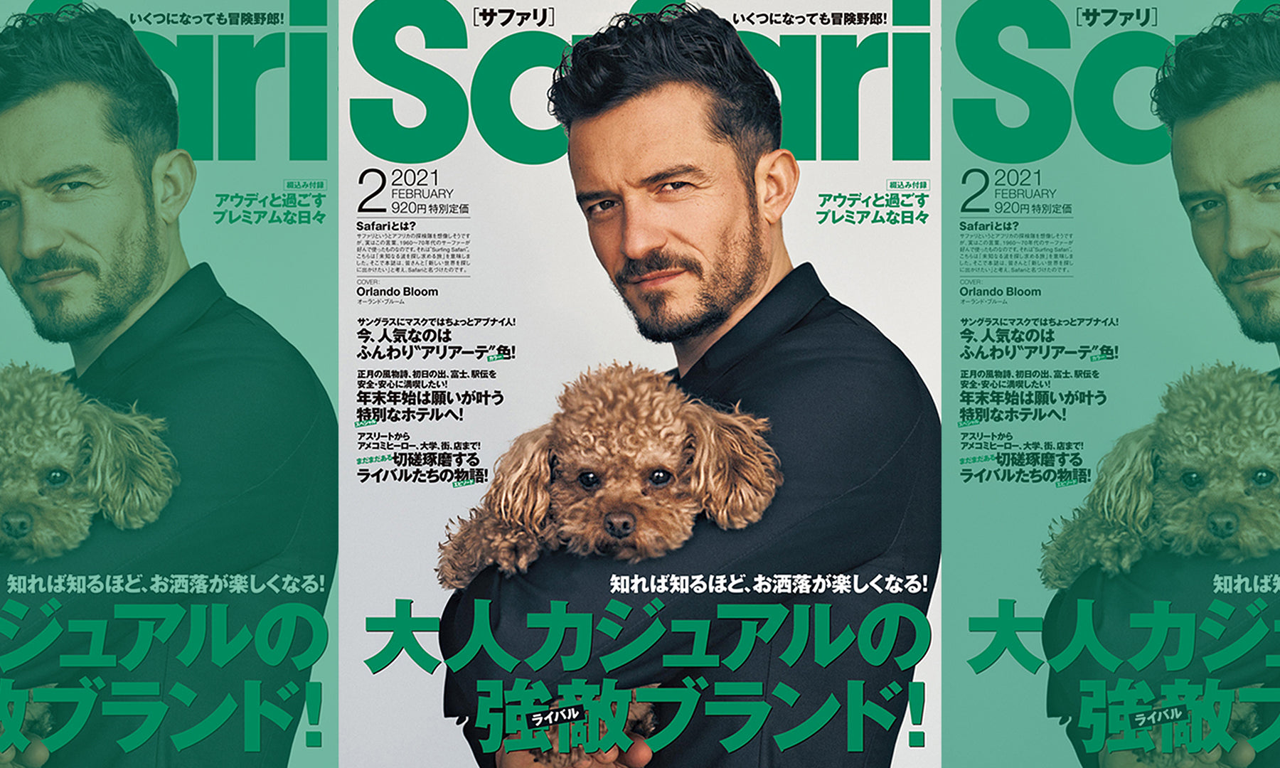 スタンダードカリフォルニア Safari記載 トレンドカラー いがらっぽい